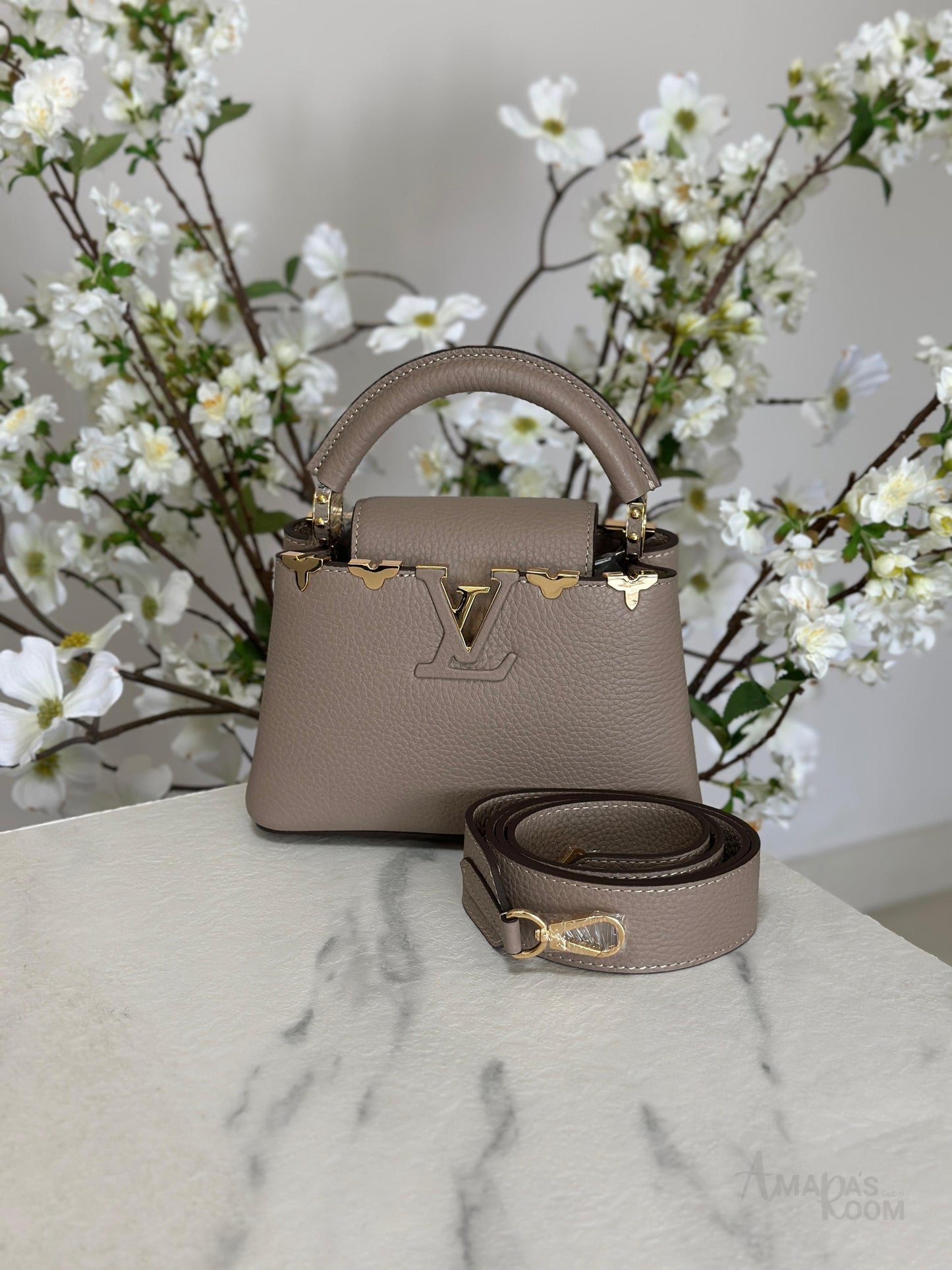 Louis Vuitton Bag | Ćapucines Gray