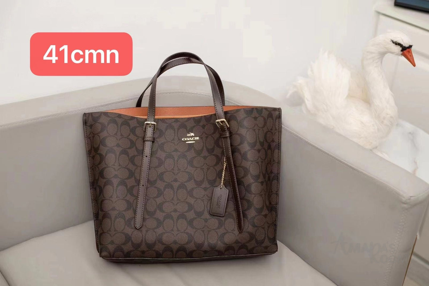 Coach Bag Mollie Tote in Signature Canvas