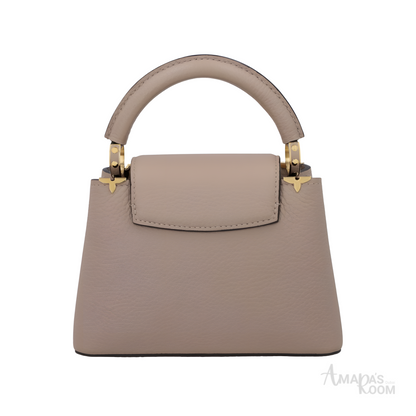 Louis Vuitton Bag | Ćapucines Gray
