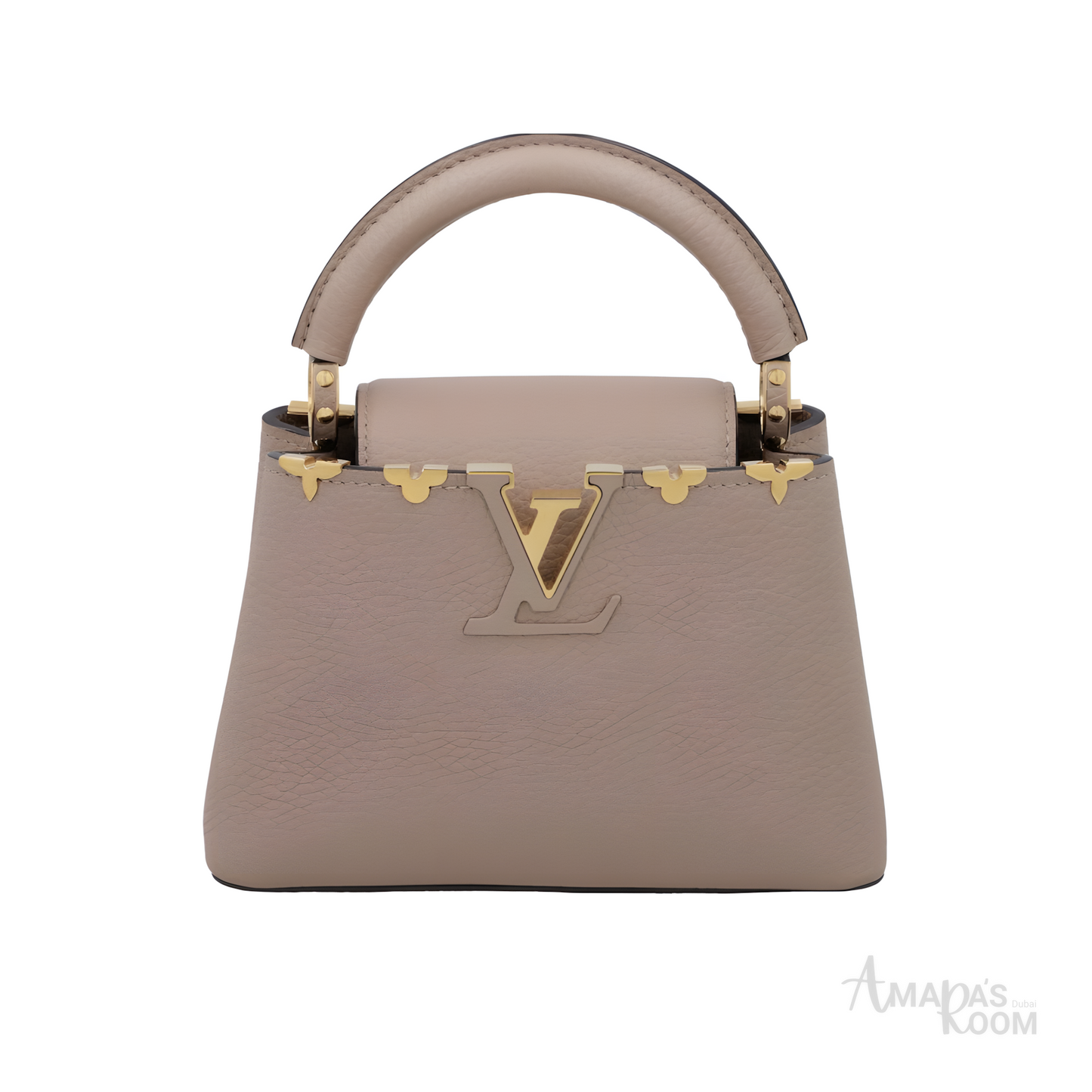 Louis Vuitton Bag | Ćapucines Gray