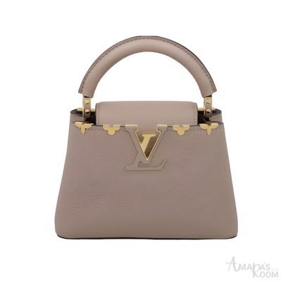 Louis Vuitton Bag | Ćapucines Gray