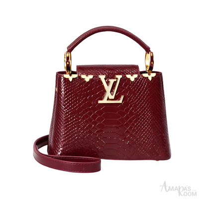 Louis Vuitton Bag | Ćapucines Exotic