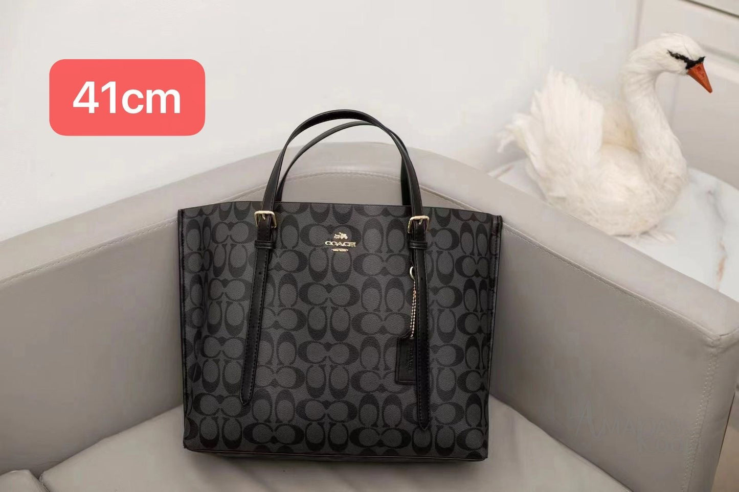 Coach Bag Mollie Tote Bag in Signature Canvas