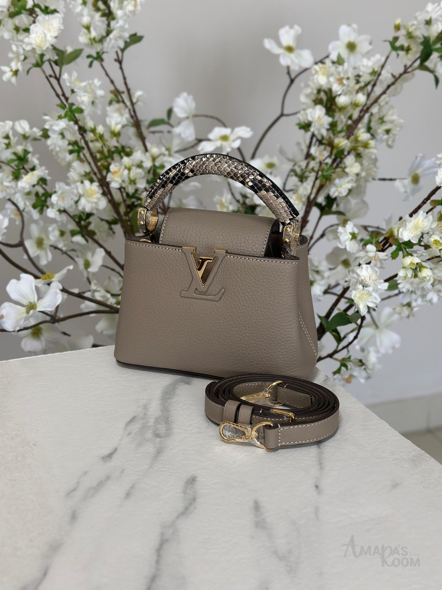 Louis Vuitton Bag | Ćapucines Gray Python