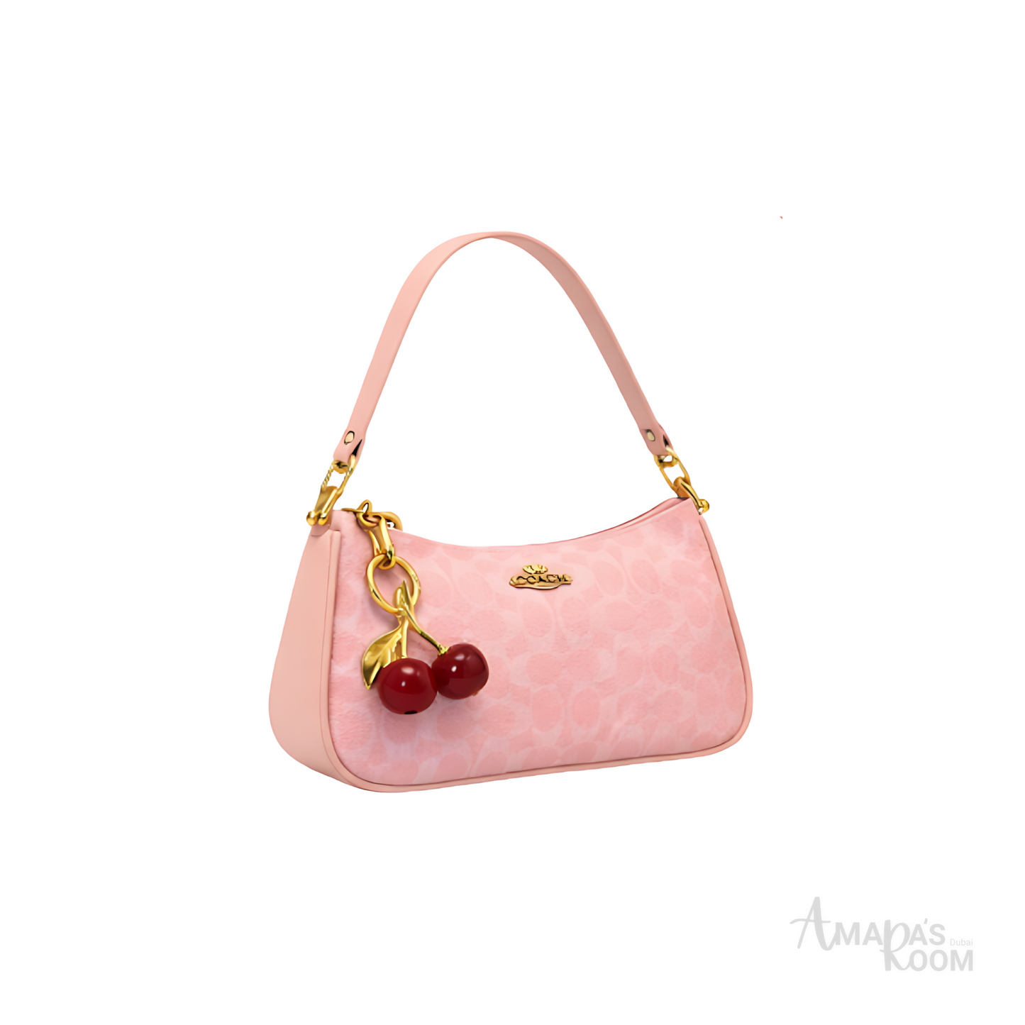 Coach Bag | Teri Shoulder Signature Canvas