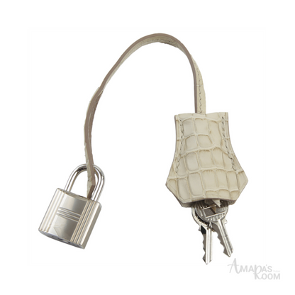 Hermès Bag | Birkin 25 Crocodile Light Grey