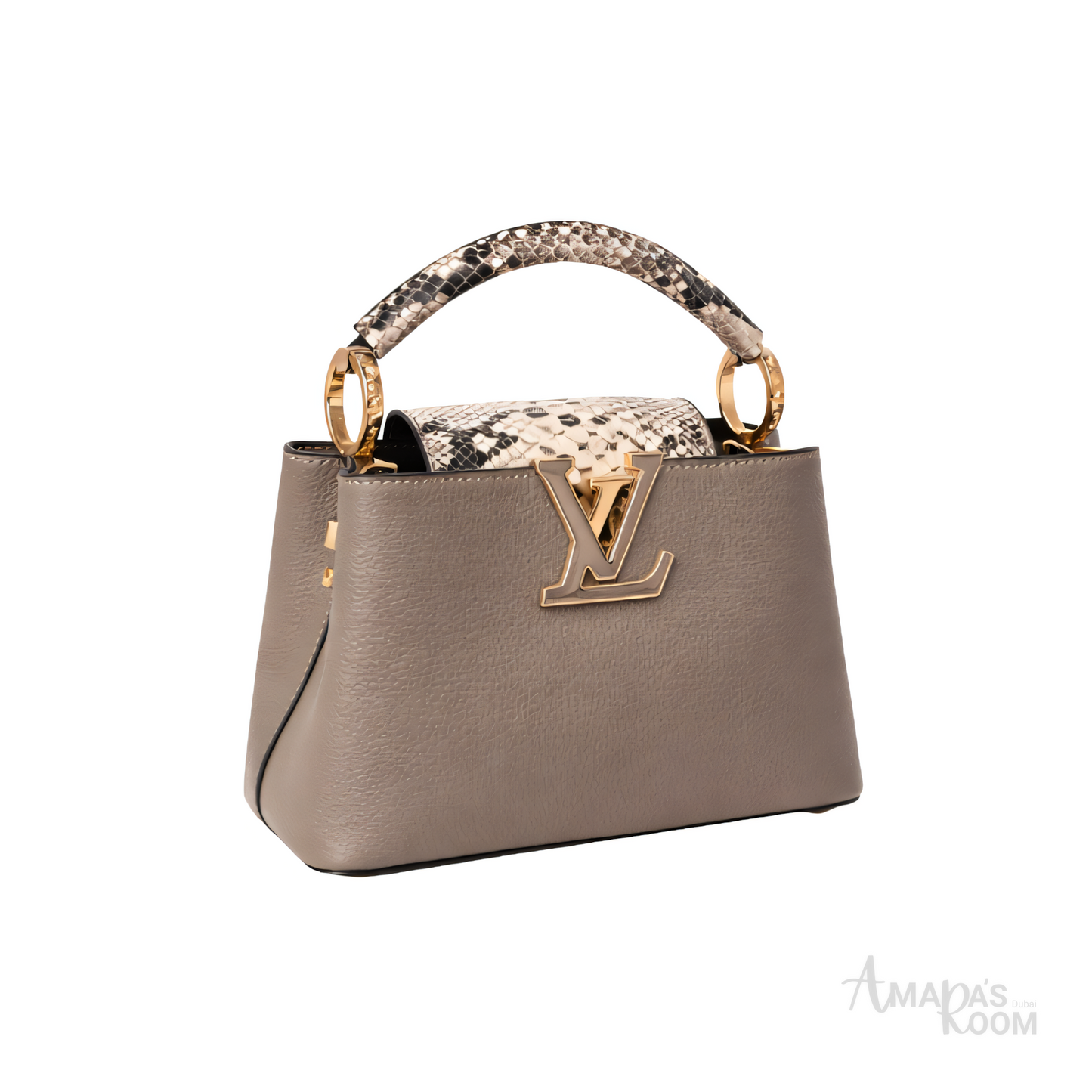 Louis Vuitton Bag | Ćapucines Gray Python