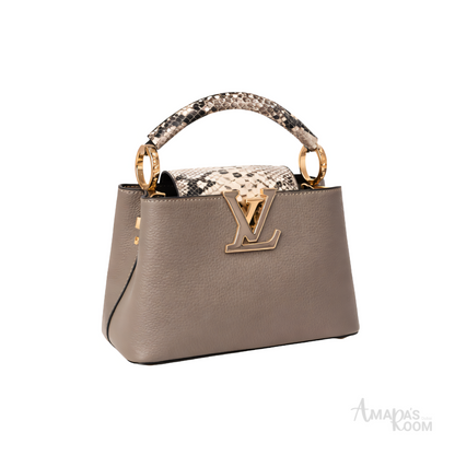 Louis Vuitton Bag | Ćapucines Gray Python